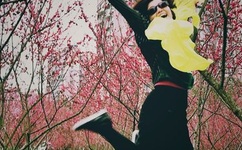 中国好声音 high歌